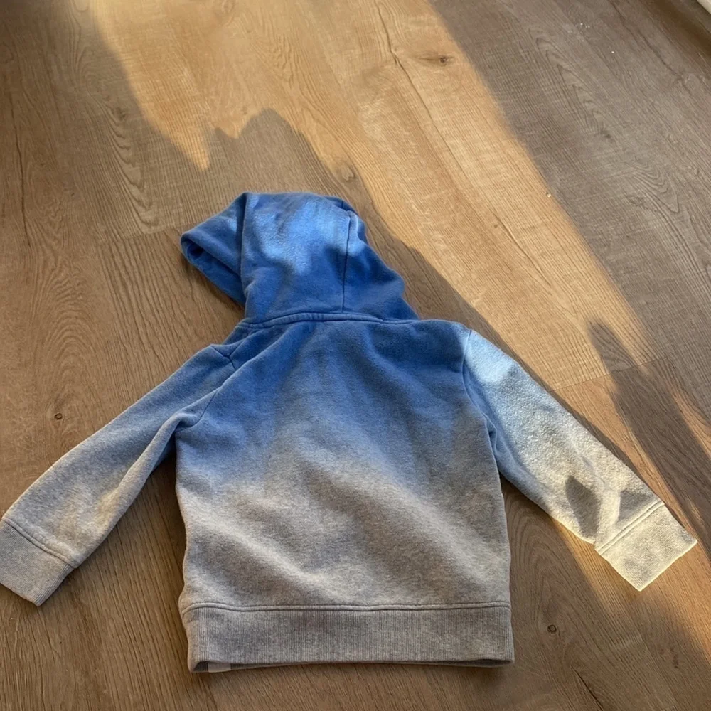 GAP 3T Graphic Ombre Hoodie Sweatshirt Easy Tiger